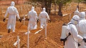 O nouă ameninţare: virusul Marburg, asemănător cu Ebola. Se transmite de la lilieci la oameni